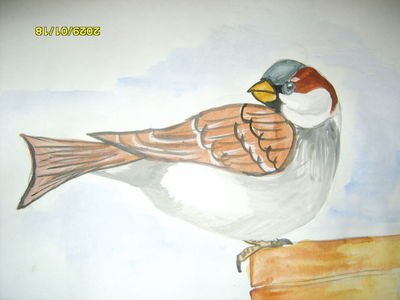 Всемирный день воробья