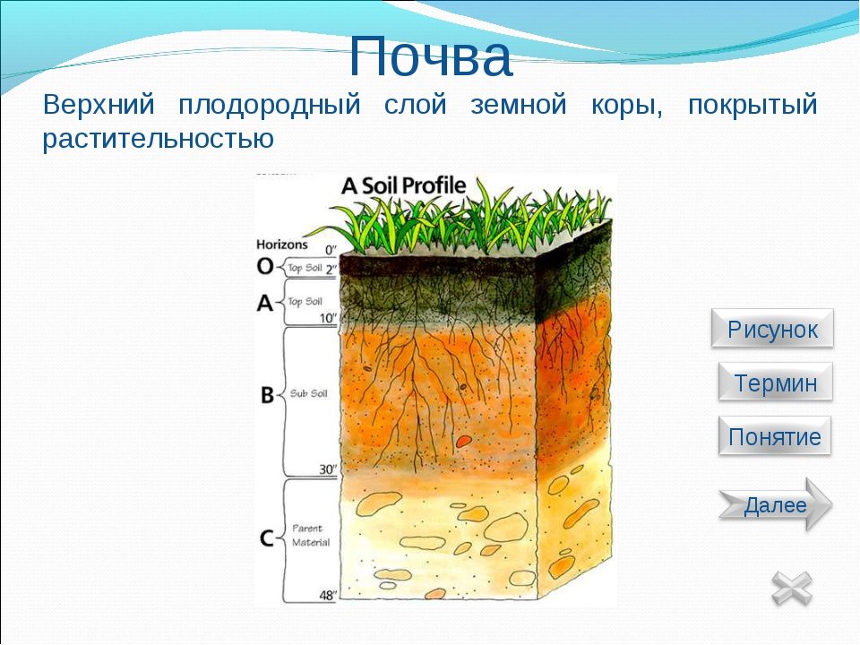 Какую толщину может достигать почва. Слои почвы схема. Строение почвы схема. Схема слои почвы земли. Строение почвы слои.