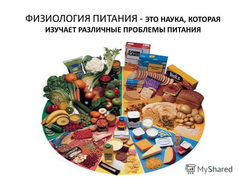 Статус пищевых продуктов