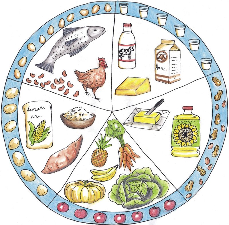7 групп продуктов. Здоровое питание рисунок. Рисунки полезных продуктов. Рисование продукты питания. Продукты правильного питания рисунок.