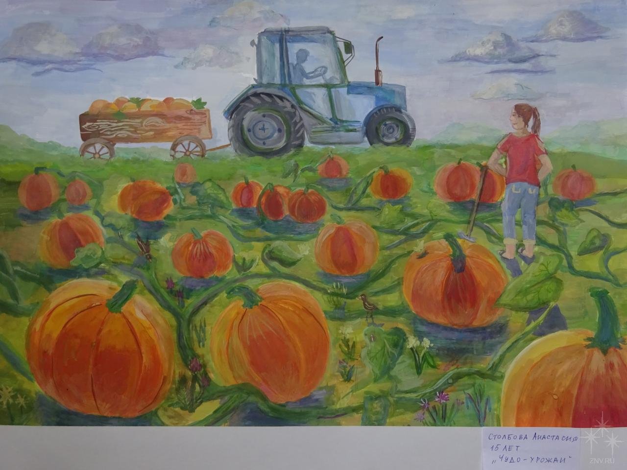Рисунок на тему сбор урожая