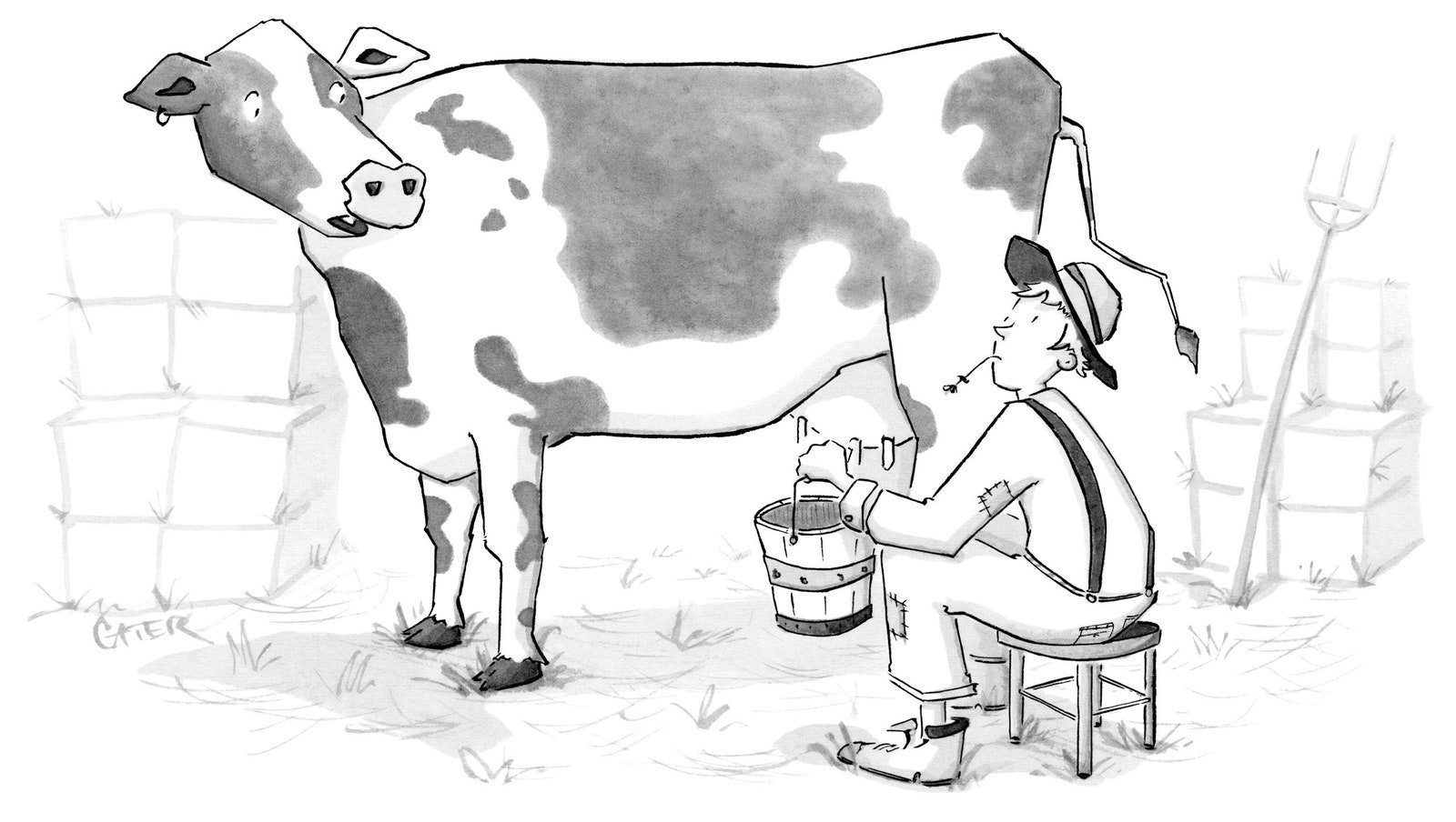 Раскраска корова с молоком