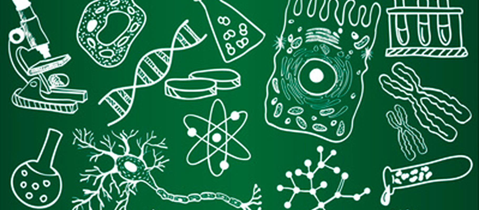 Темы для проекта по биологии 11. Картинки по биологии. Биологические иллюстрации. Биология рисунки. Рисунок на тему биология.