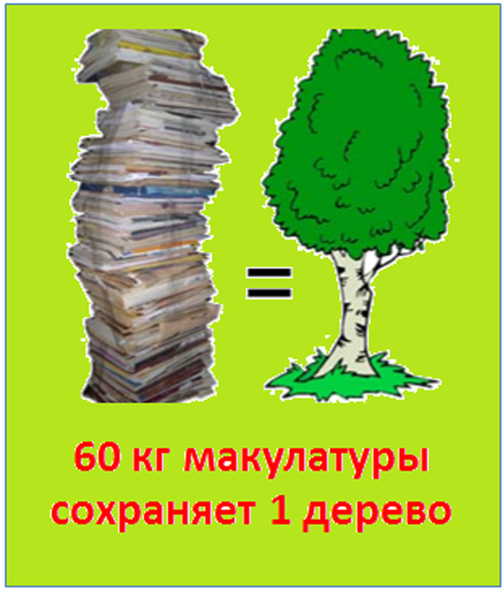 Сбор макулатуры. Сбор макулатуры дерево. Собери макулатуру Спаси дерево. Сбор макулатуры плакат.