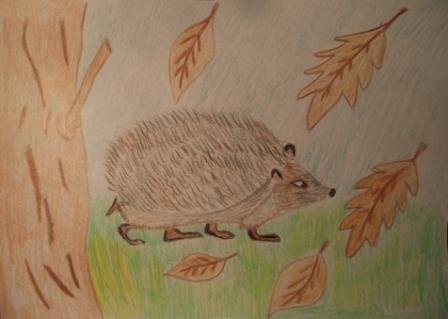 Рисунок на тему осень карандашом