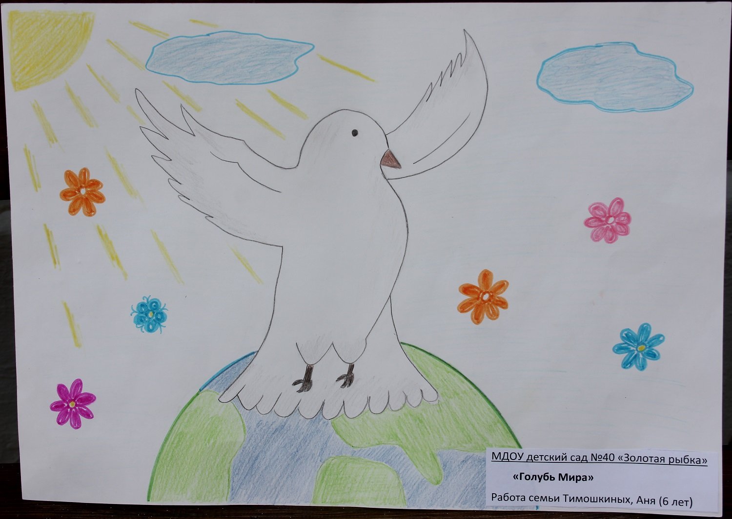 Детские рисунки голубь мира