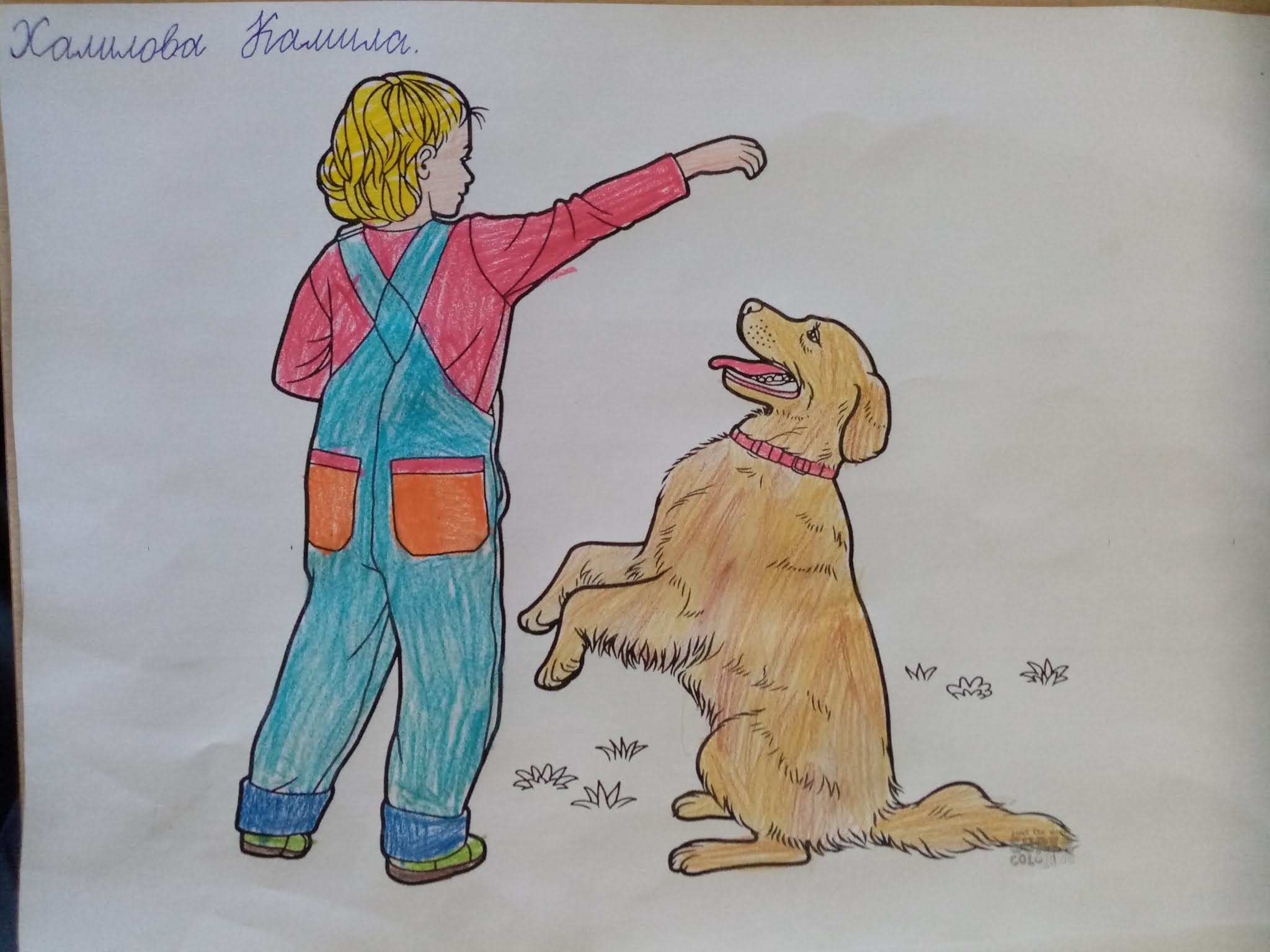 Рисунок на тему собака друг человека