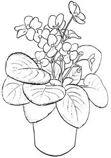 Скетч цветок в горшке