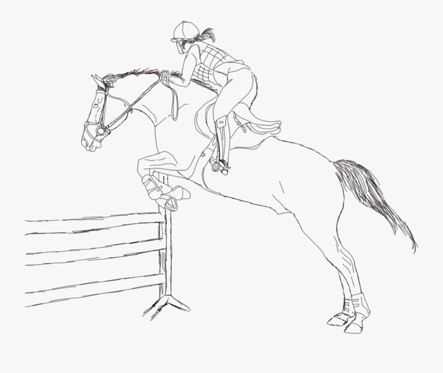 Раскраска. Лошади. Раскраска лошадь в прыжке. Раскраски лошади конкур. Конный спорт рисунок.