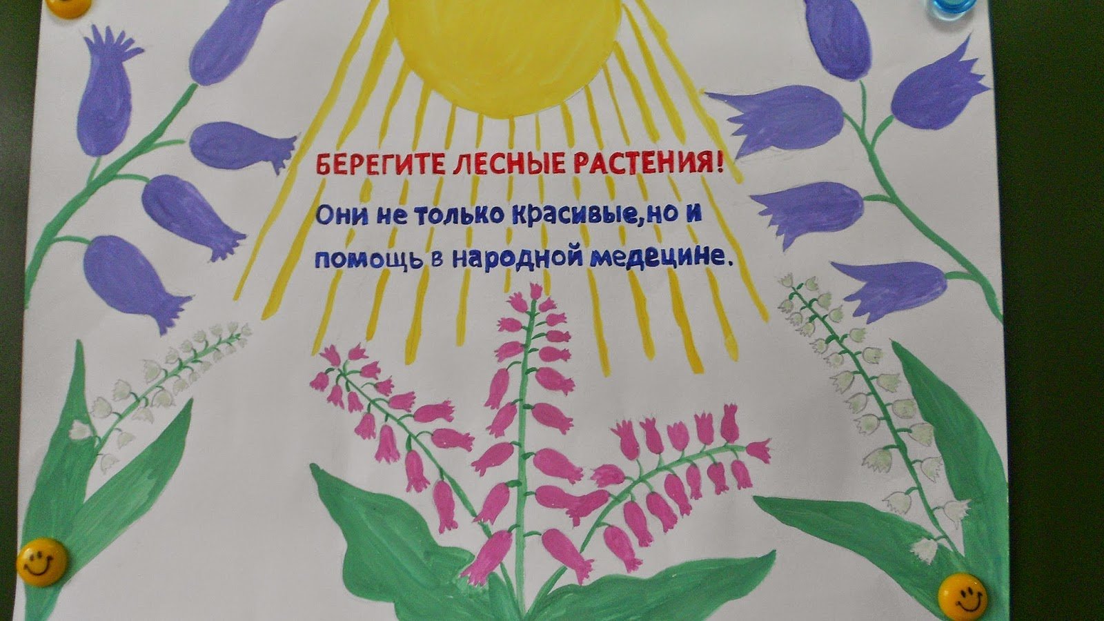 Плакат на тему береги растения