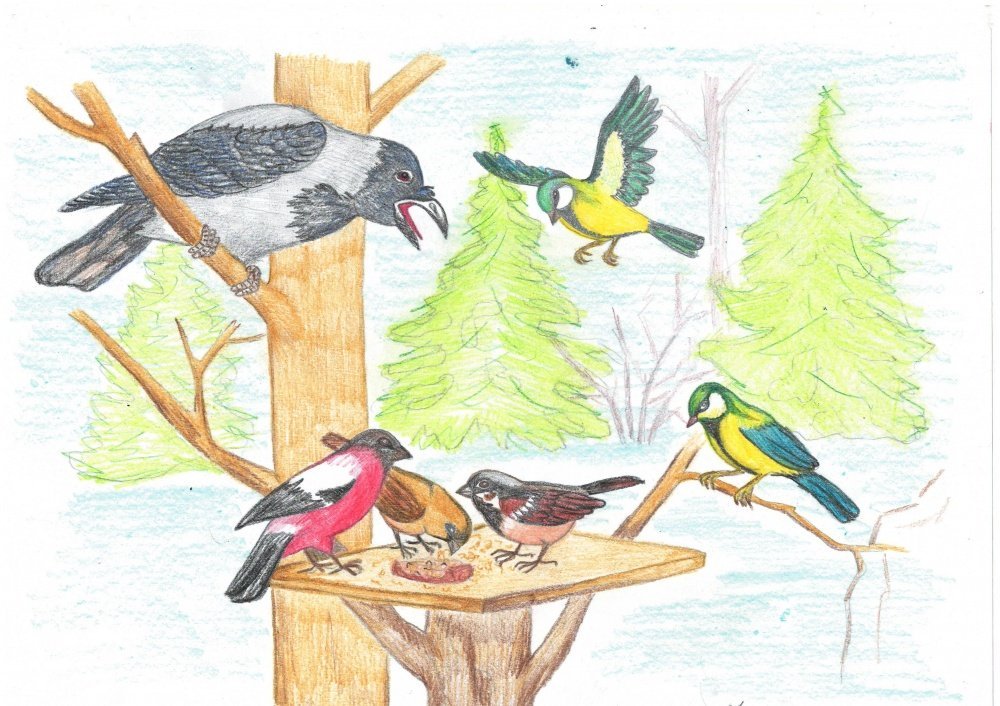 Рисунок встречаем пернатых. Рисунок на тему птицы. Конкурс рисунков птицы наши друзья. Детские рисунки на тему птицы. Встреча пернатых друзей.