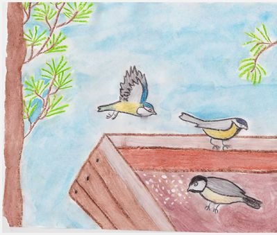 Мошкин Птичья столовая