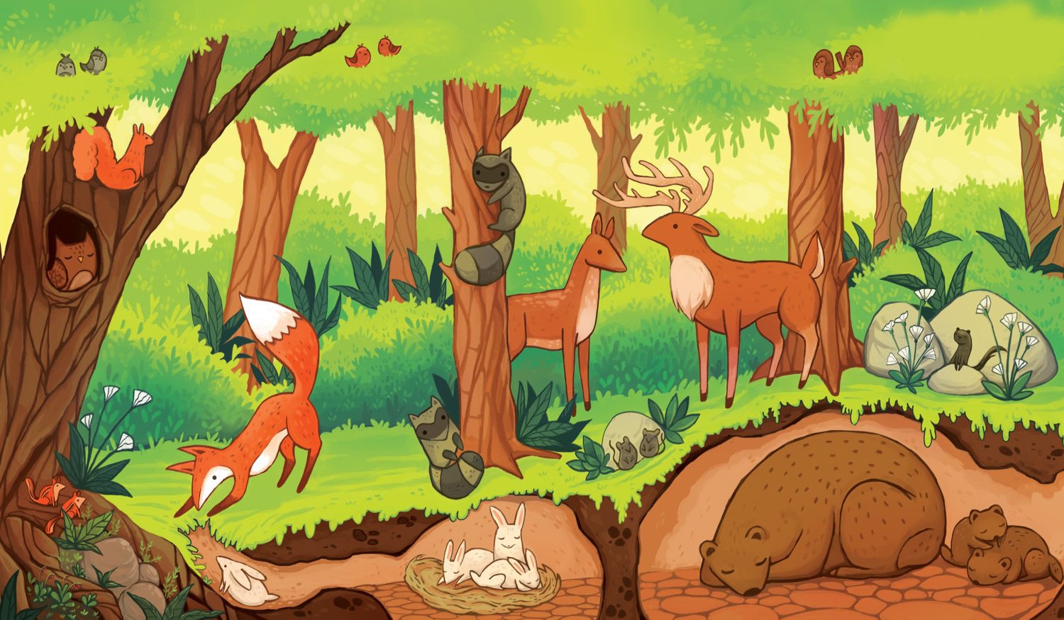 Звуки лесных обитателей. Иллюстрация леса. Экосистема лес для дошкольников. Животные леса для детей. Лесные жители.