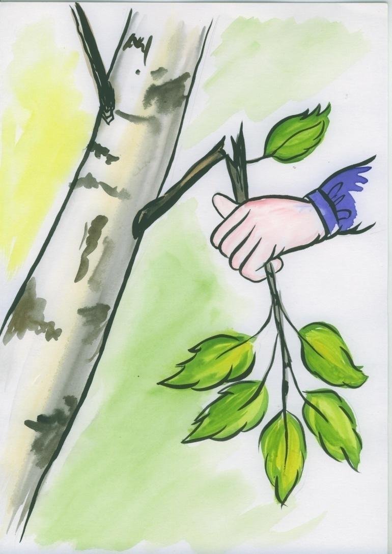 Рисунок поможем природе. Сохраним растения. Ломать ветки деревьев. Ломать ветки деревьев в лесу. Дети ломают ветки деревьев.