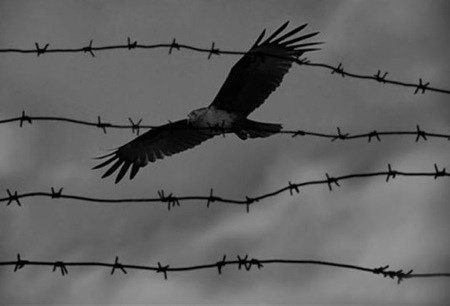 Орел и узник иллюстрация