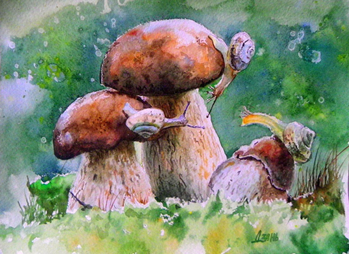 Белый гриб живопись