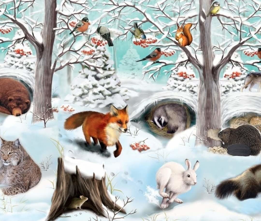 звери зимой картинки для детей