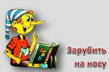 Зарубить на носу
