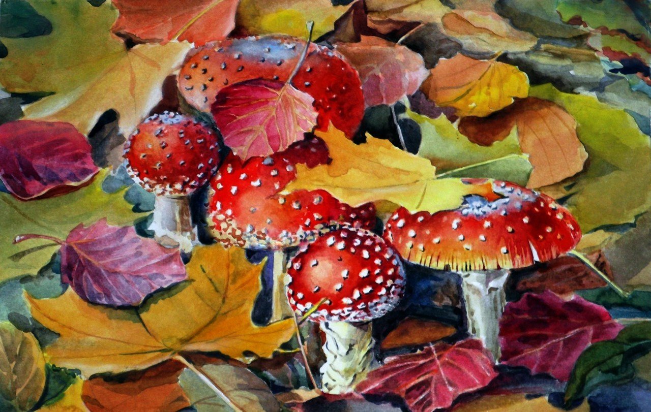 Акварель осень грибы