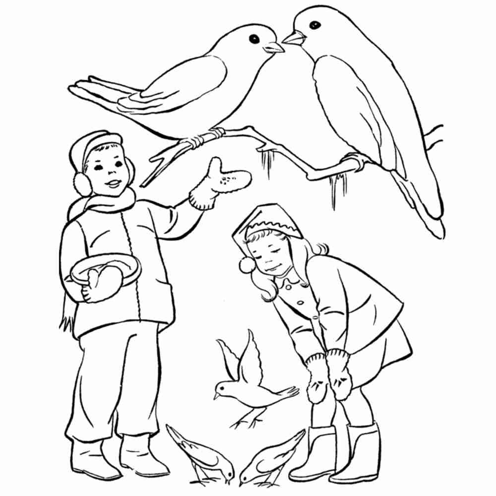 Раскраска для детей на тему зимующие птицы