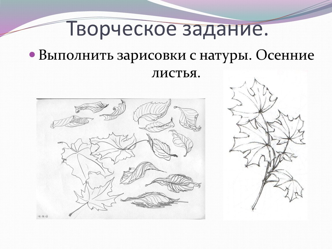 Искусство урок конспект 8 класс. Рисунок основа изобразительного искусства. Основа изобразительного творчества. Наброски растений. Изо рисунок основа изобразительного творчества.
