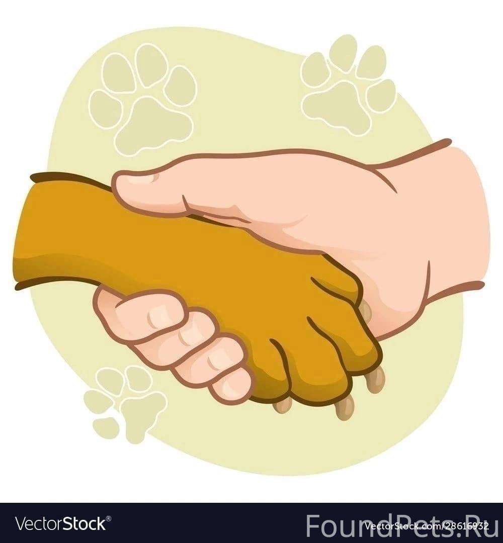 Рукопожатие собаки и человека
