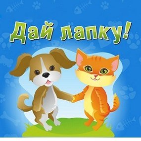 Мультяшные котики и собачки