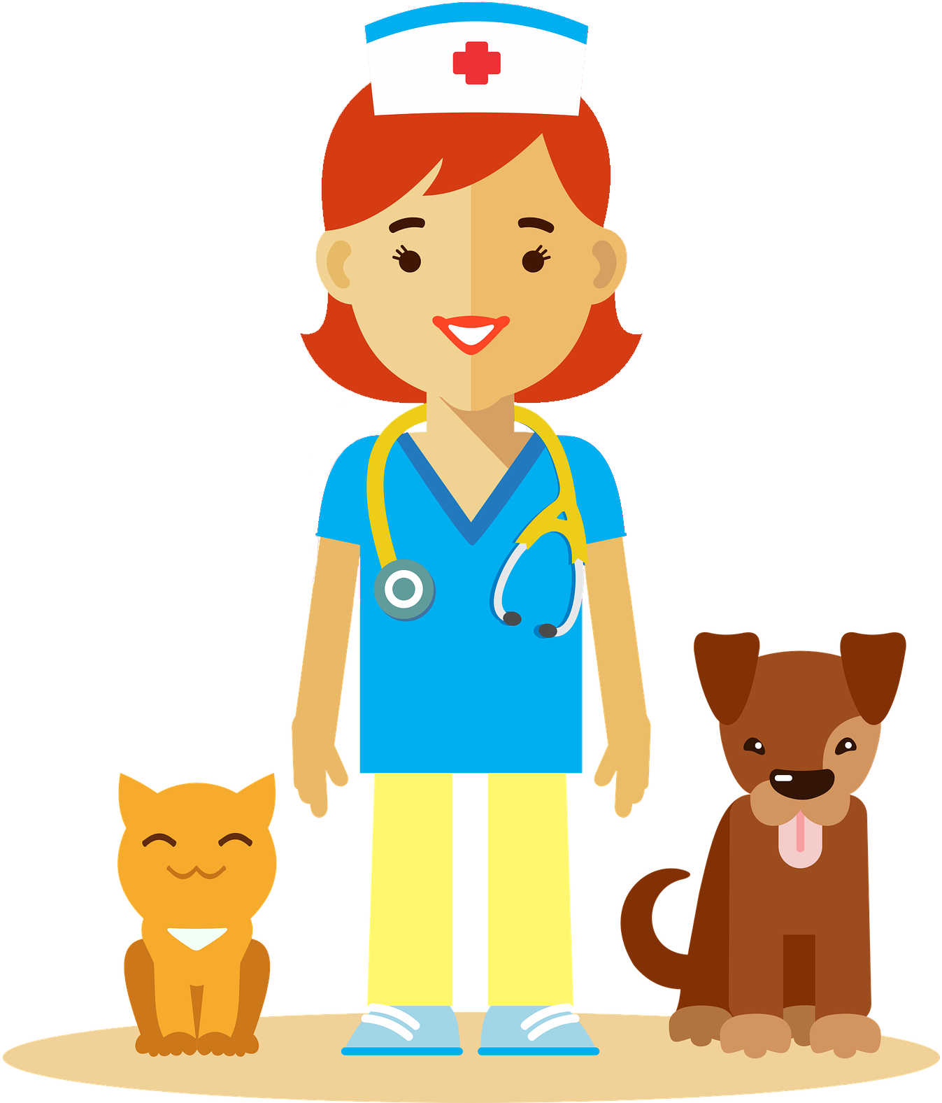 Ветеринарный врач картинка для детей