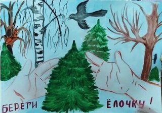 Листовка в защиту ели