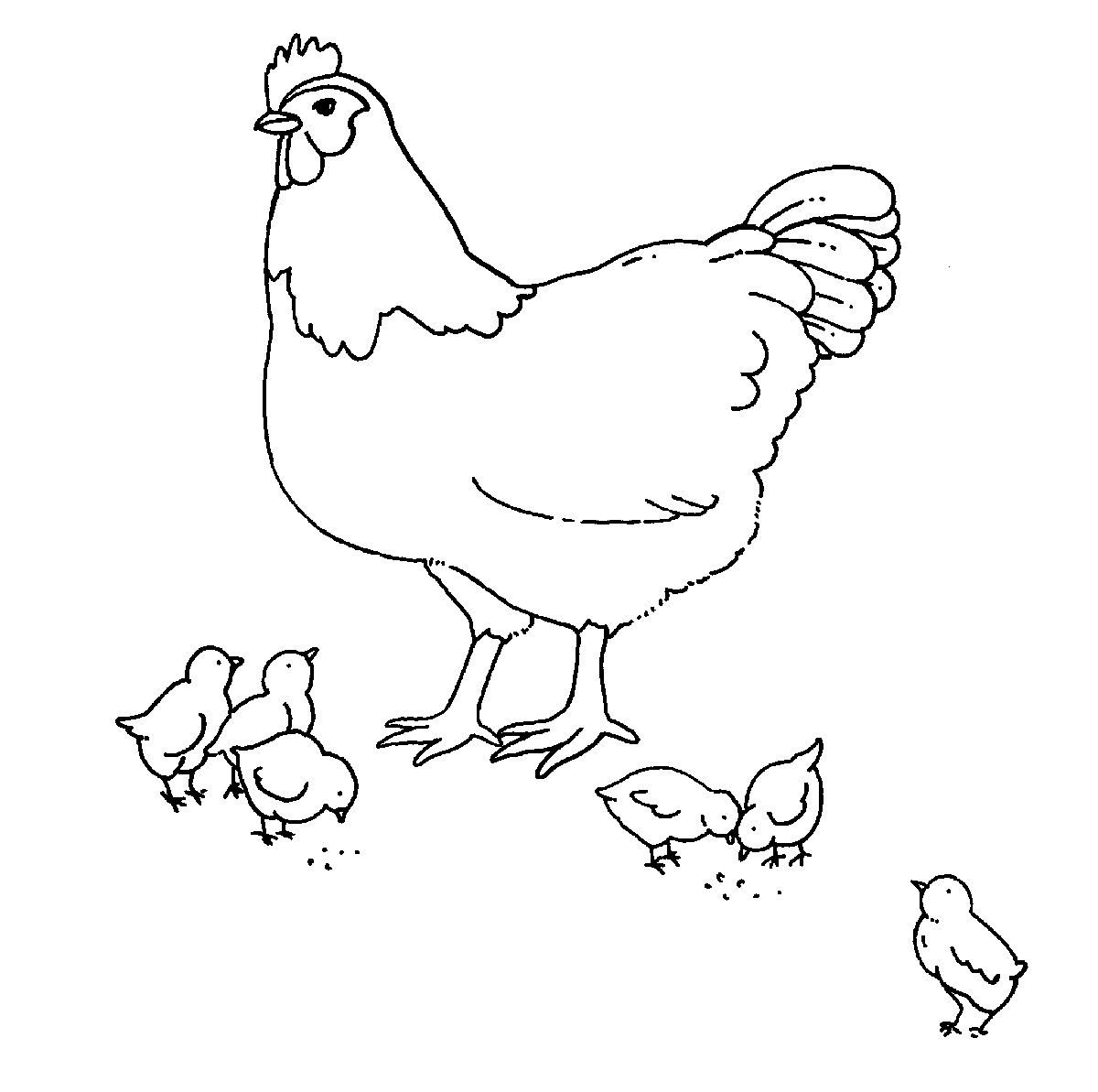 Куры раскраска для детей. Курица раскраска. Курица раскраска для детей. Раскраска курица с цыплятами. Курочка раскраска для детей.