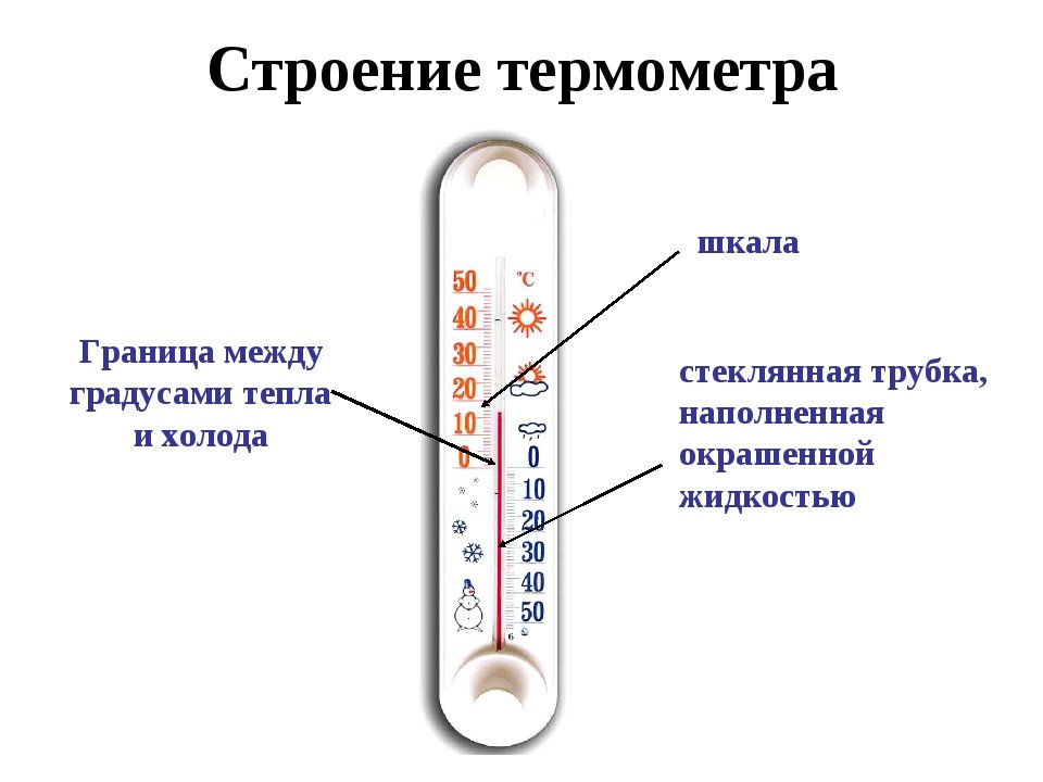 Предок современного градусника. Строение термометра для измерения температуры. Строение градусника ртутного для измерения температуры тела. Из чего состоит термометр для измерения температуры тела. Строение ртутного термометра.