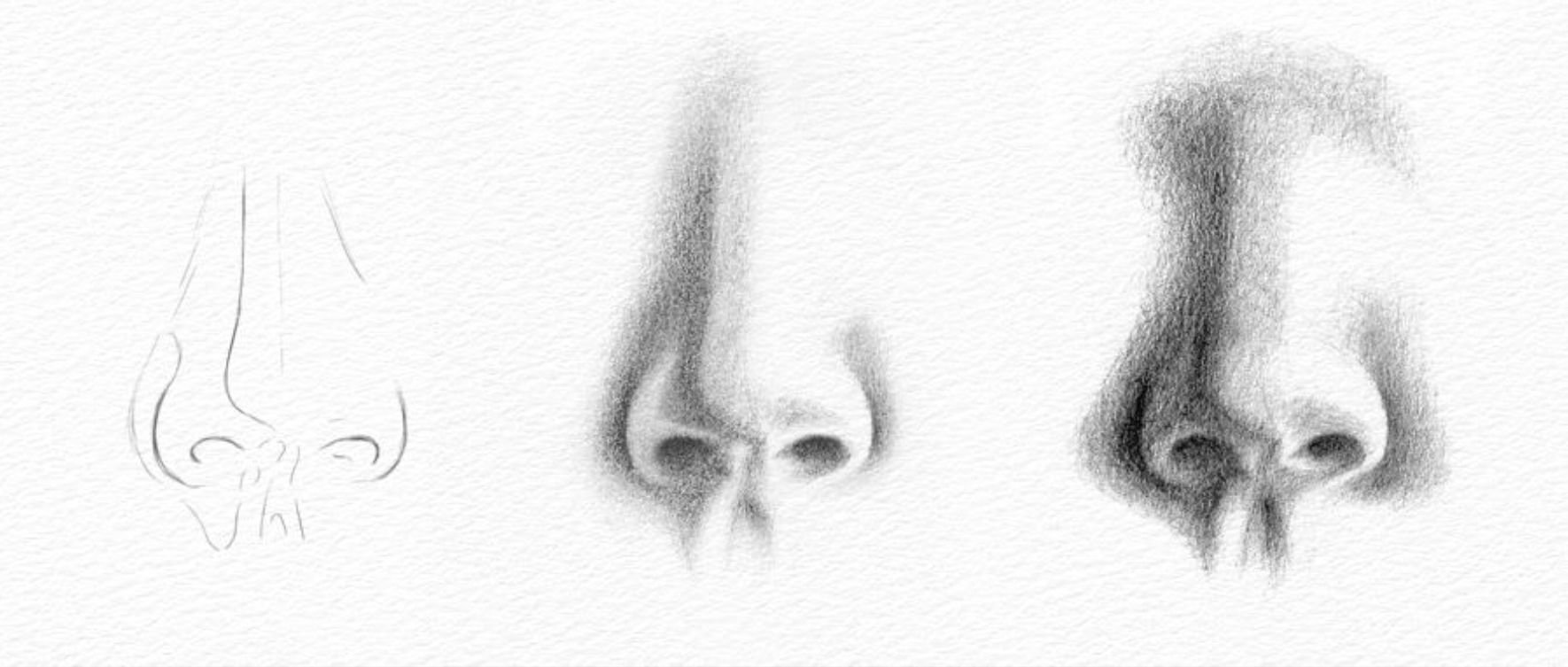 Женский нос карандашом анфас