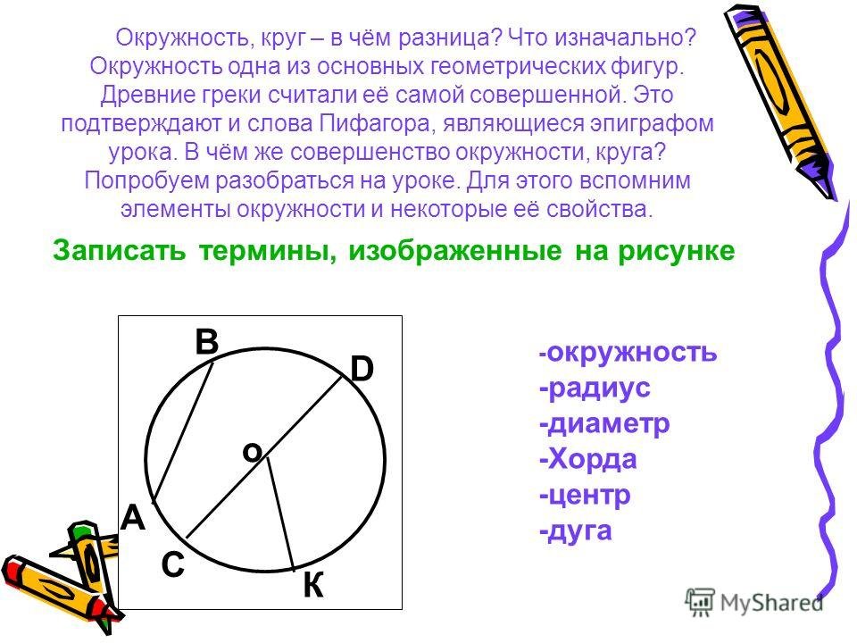 Изобразить окружность центр радиус диаметр хорда. Окружность. Тема окружность. Круги и окружности. Понятие круг и окружность.