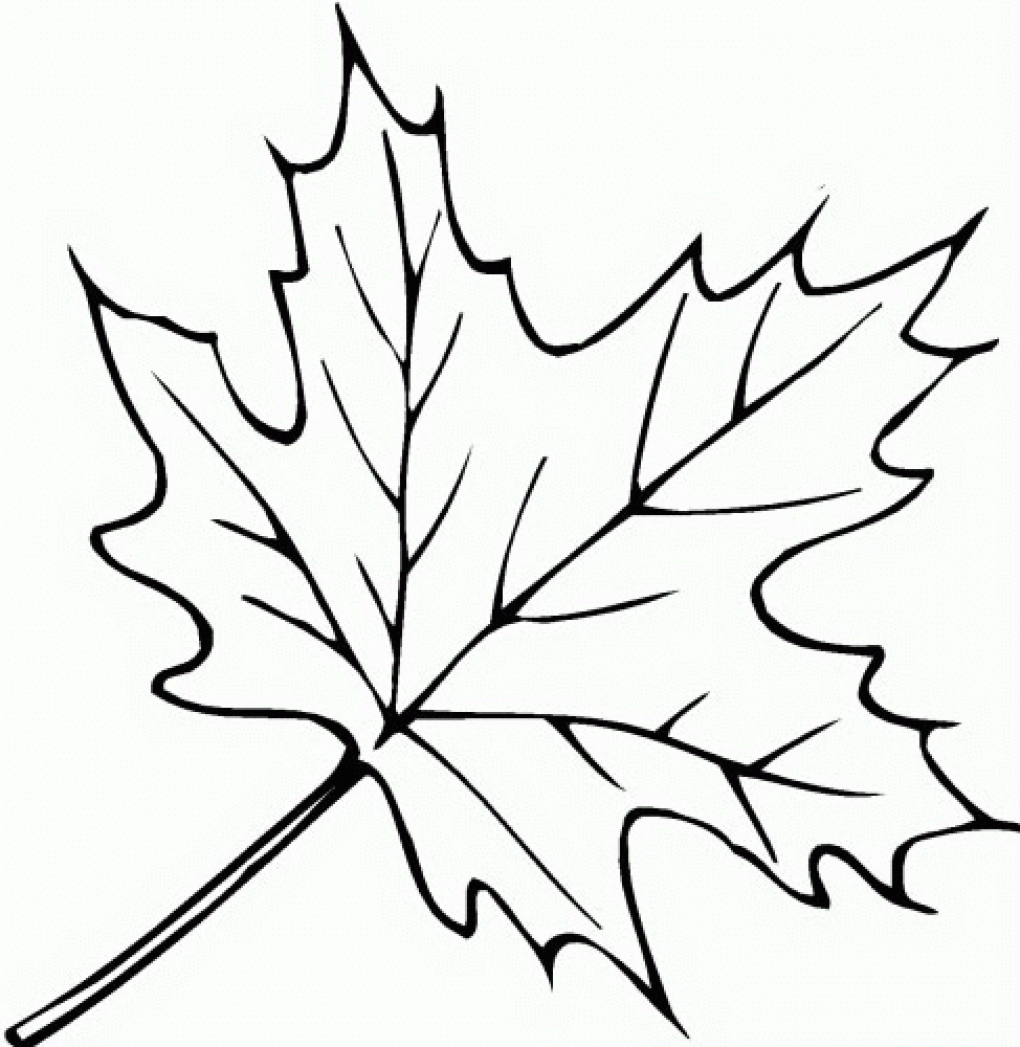 Листья деревьев раскраска