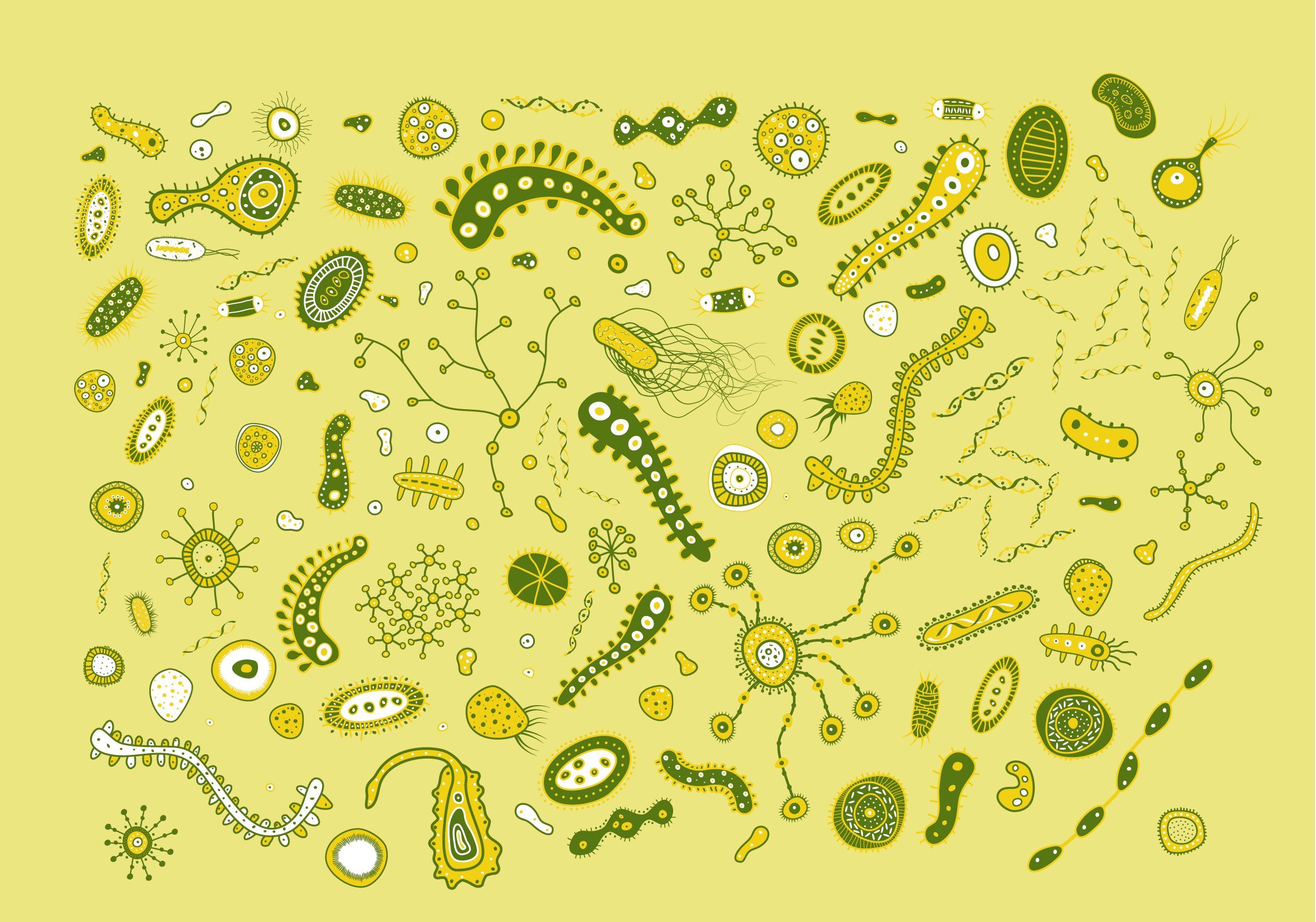 Мелкие микробы