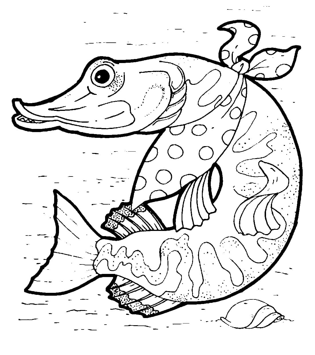 Раскраска рыба щука