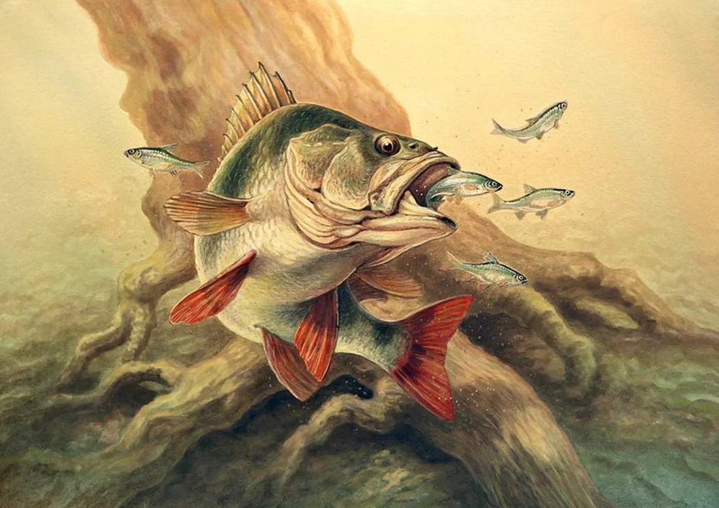 картинки на тему рыба