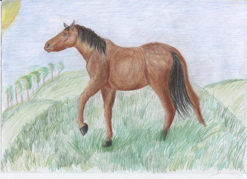 Конспект занятия лошадки. Лошадь рисунок. Жеребенок на лугу живопись. Рисование в подг гр кони пасутся. Рисование кони пасутся.