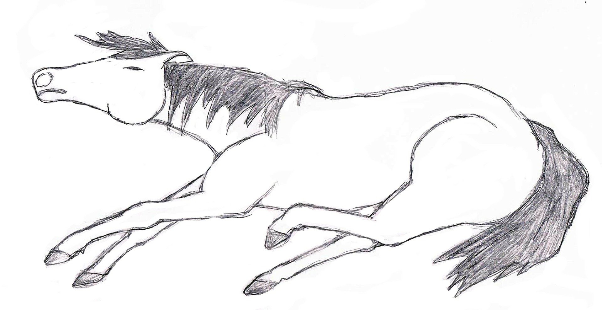 Лежачие лошади рисования