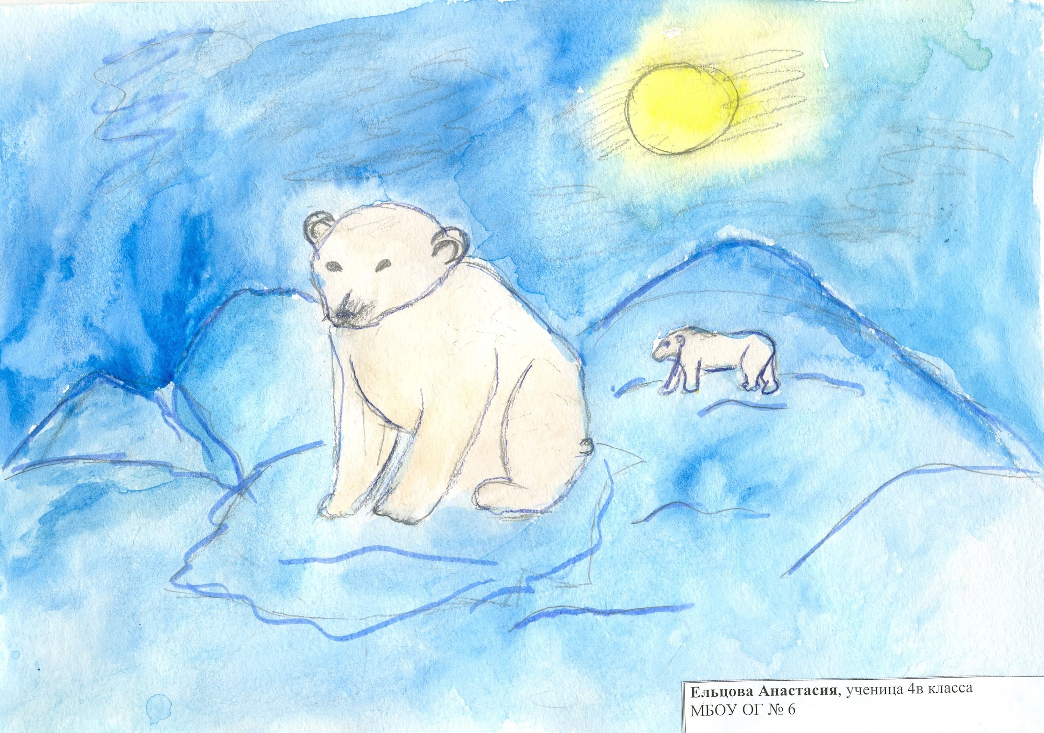 Арктика конкурс рисунков