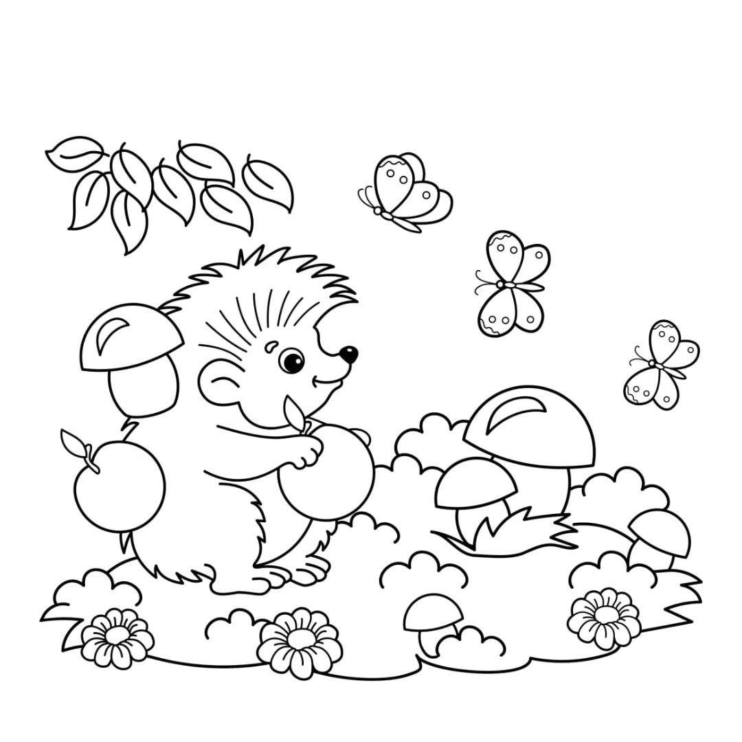 Ежик с грибами раскраска для детей