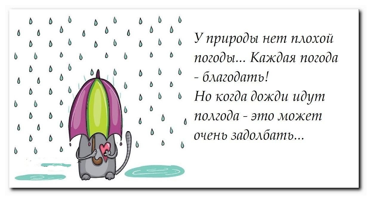 Смешные цитаты про дождь