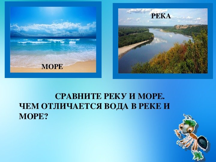 Сравните озеро и реку. Река море. Река и море отличия. Река и море отличия для детей. Отличие реки от моря.