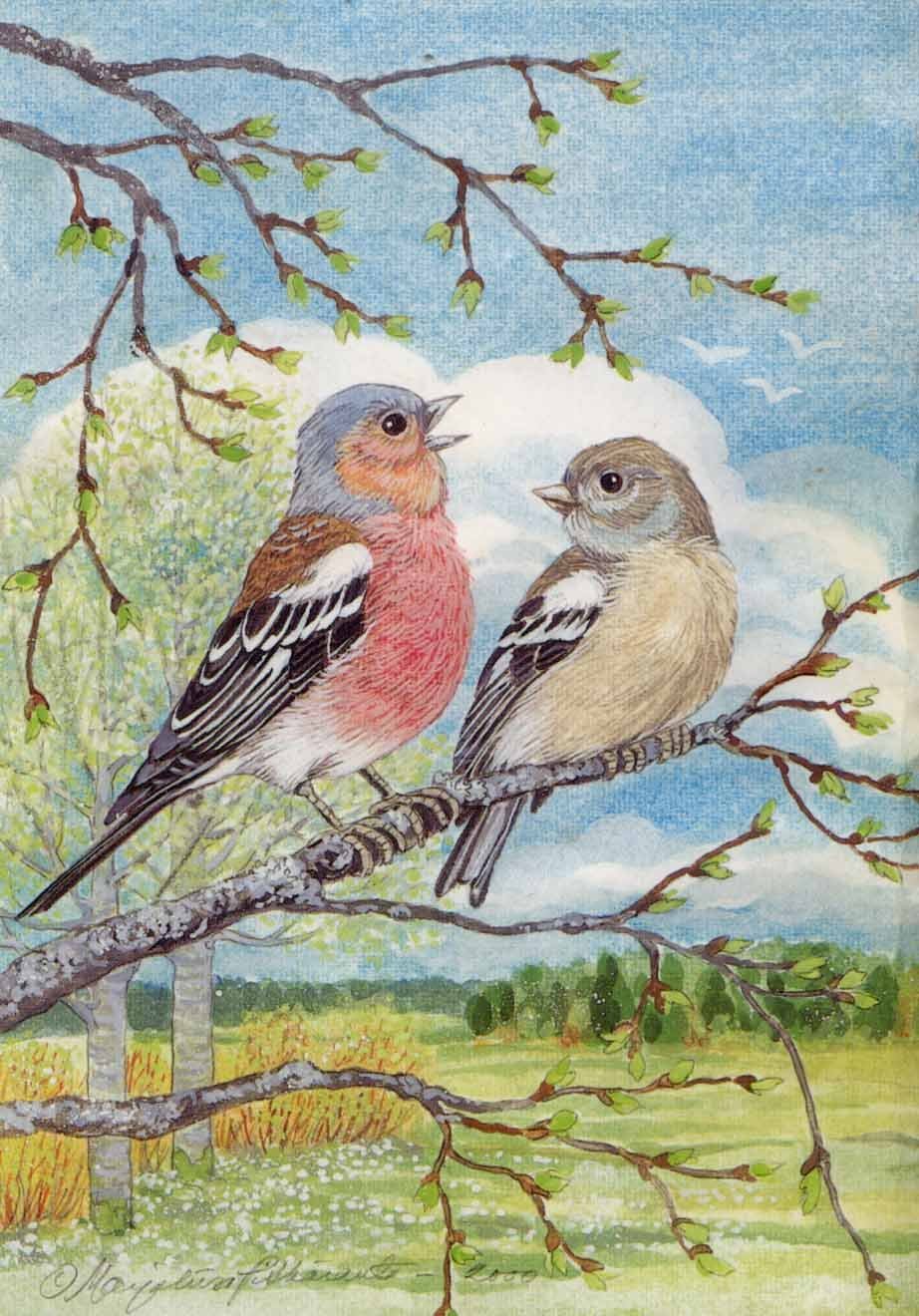 Весенние птицы картины
