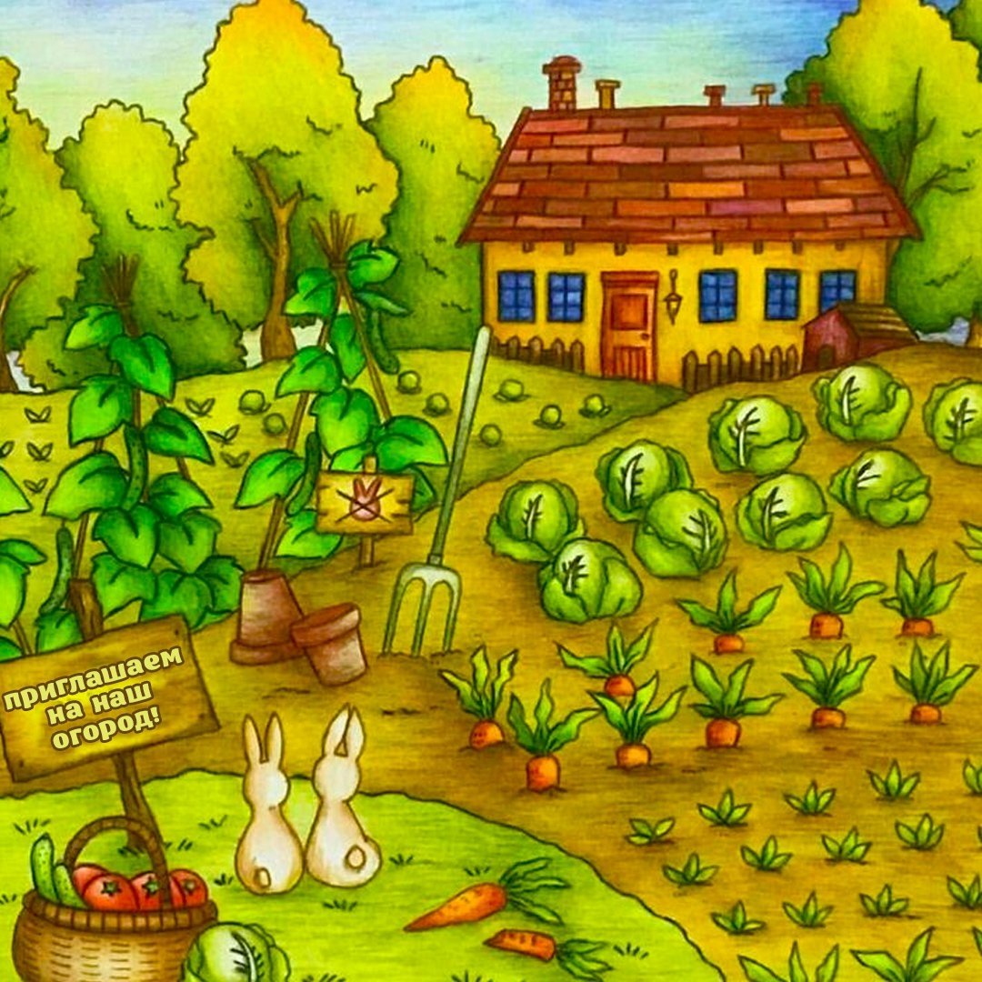 Иллюстрация с изображением огорода