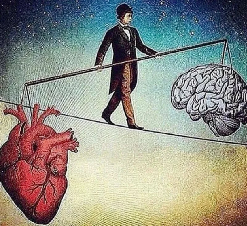 Ощущение равновесие. Мозг и сердце. Ум и сердце. Борьба разума и чувств. Балансировать между разумом и сердцем.
