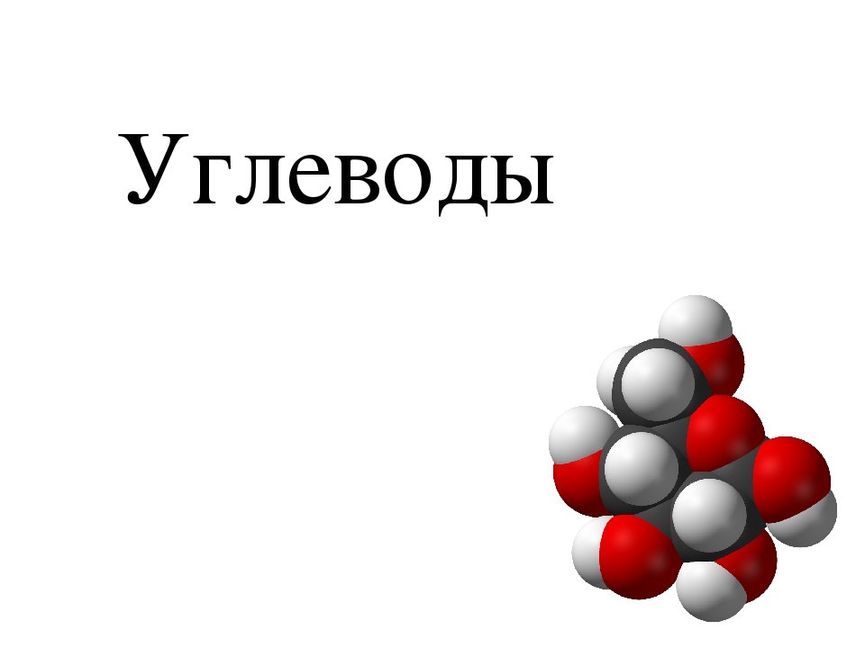 Проект углеводы химия