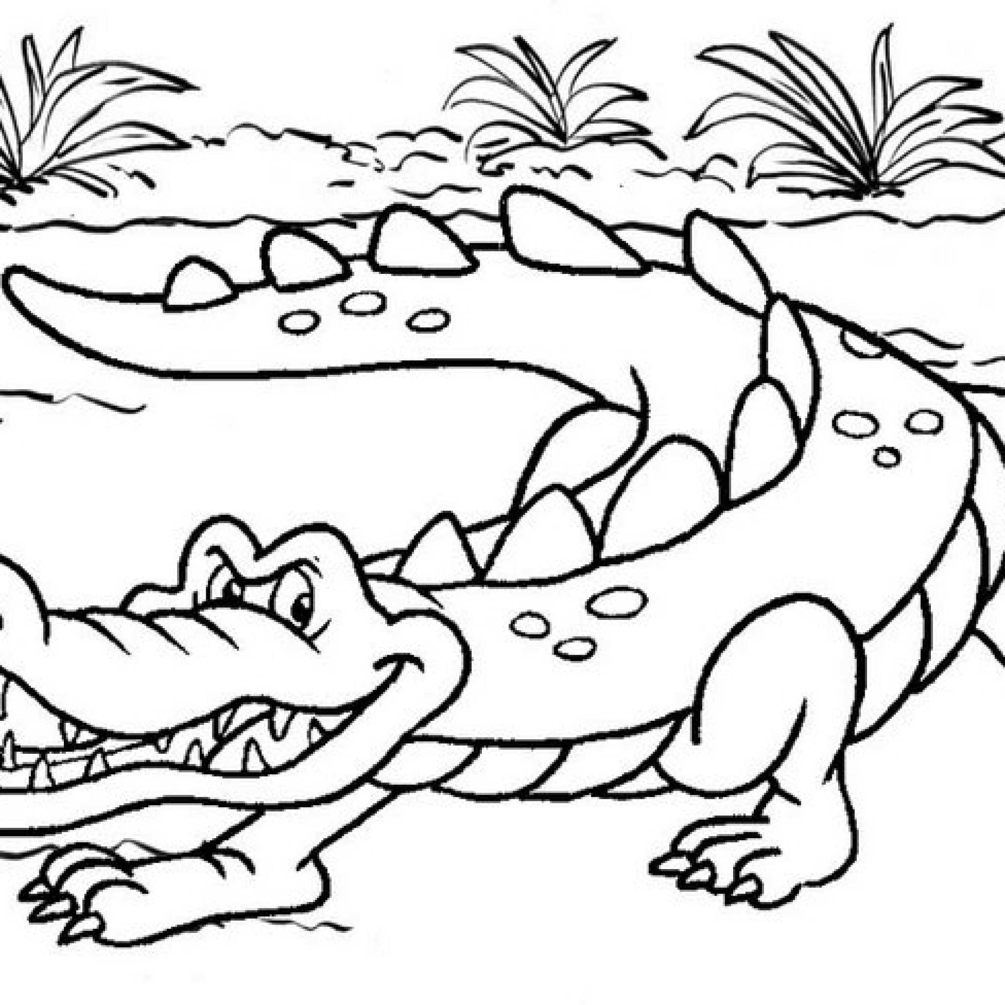 Обезьяна и крокодил раскраска