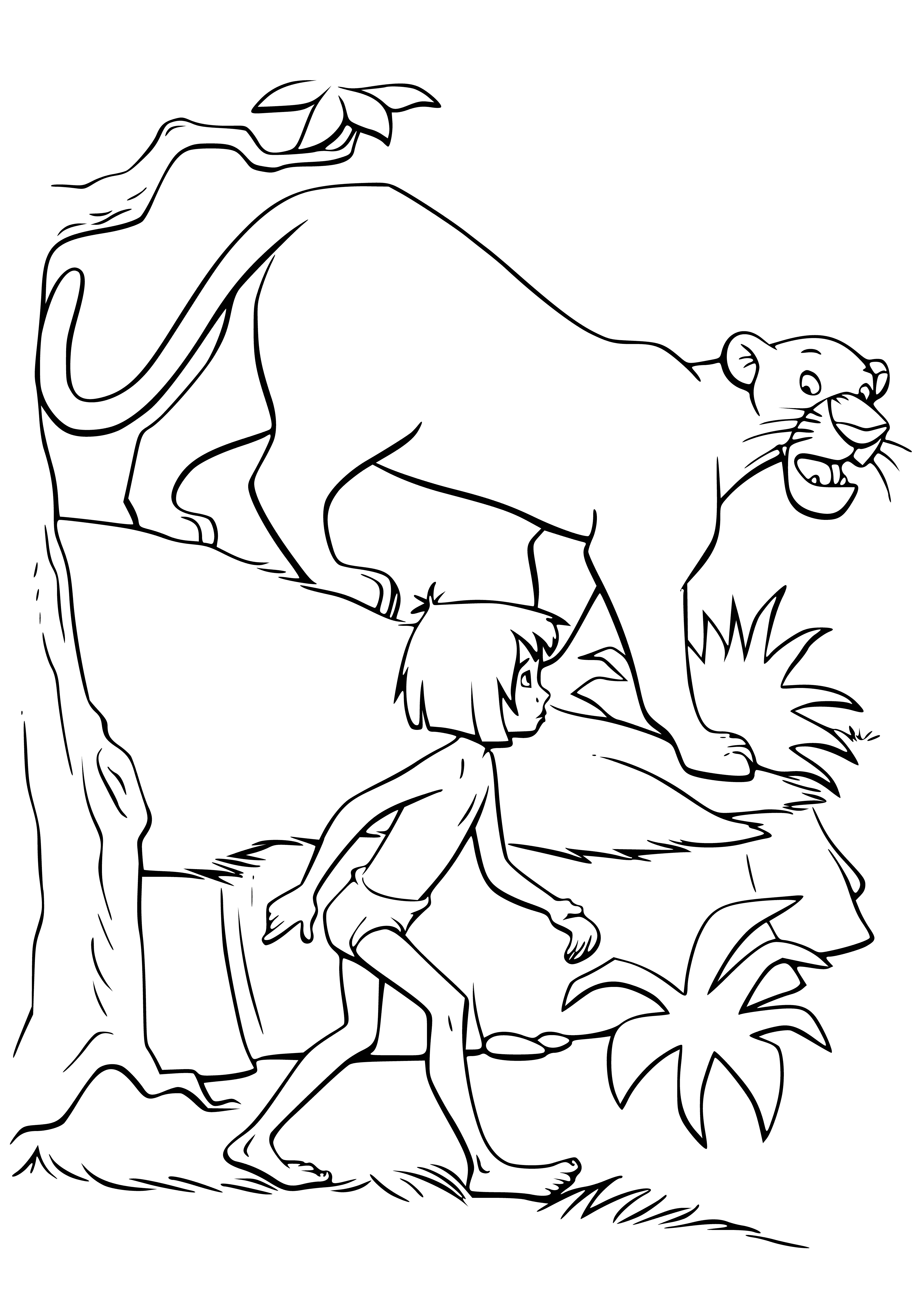 Маугли книга джунглей раскраска