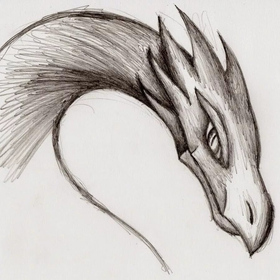 Легкий эскиз карандашом. Дракон простым карандашом. Красивые рисунки карандашом. Рисунок дракона для срисовки. Дракон рисунок карандашом.